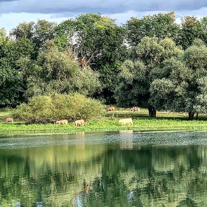 Villa Les Annexes à Verdun-sur-le-Doubs Extérieur photo